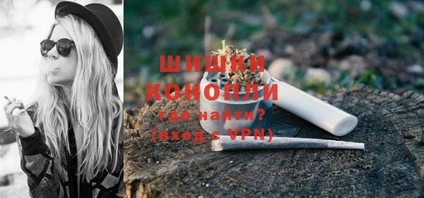 винт Нягань