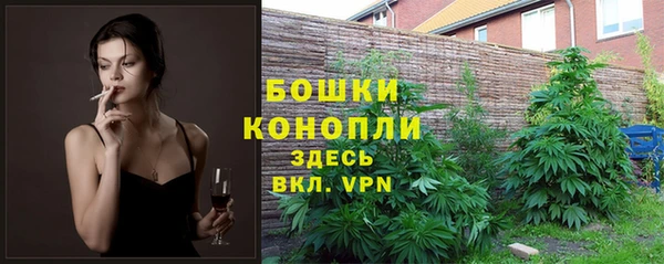 ECSTASY Няндома