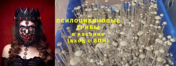 винт Нягань