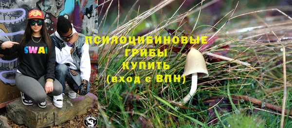 сатива Протвино