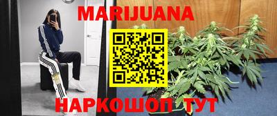 спиды Гусев
