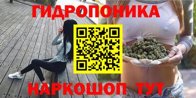 спиды Гусев