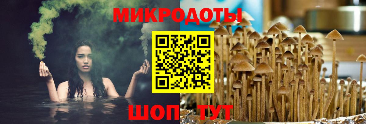 Псилоцибиновые грибы ЛСД  Галлюциногенные грибы ЛСД  Вход с VPN  Полысаево 